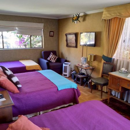 Bed & Breakfast Blumen Haus 산티아고 외부 사진