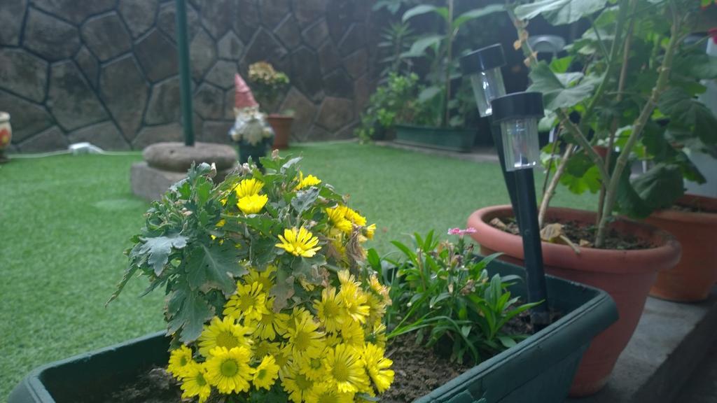 Bed & Breakfast Blumen Haus 산티아고 외부 사진