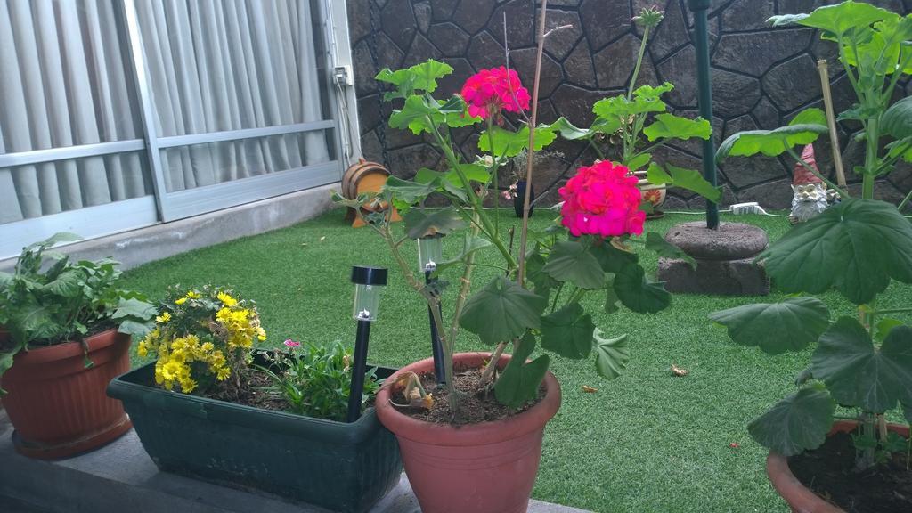 Bed & Breakfast Blumen Haus 산티아고 외부 사진