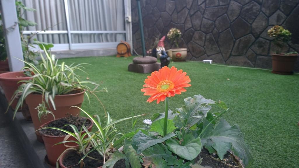Bed & Breakfast Blumen Haus 산티아고 외부 사진