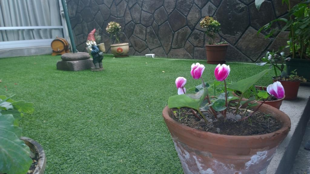 Bed & Breakfast Blumen Haus 산티아고 외부 사진