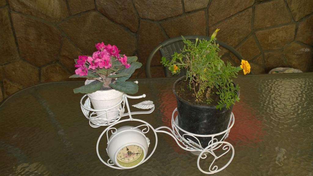 Bed & Breakfast Blumen Haus 산티아고 외부 사진